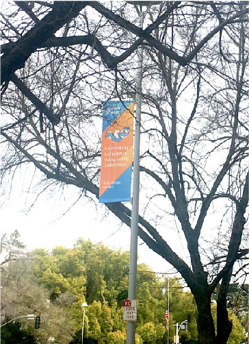 150 Anniversary pole banner